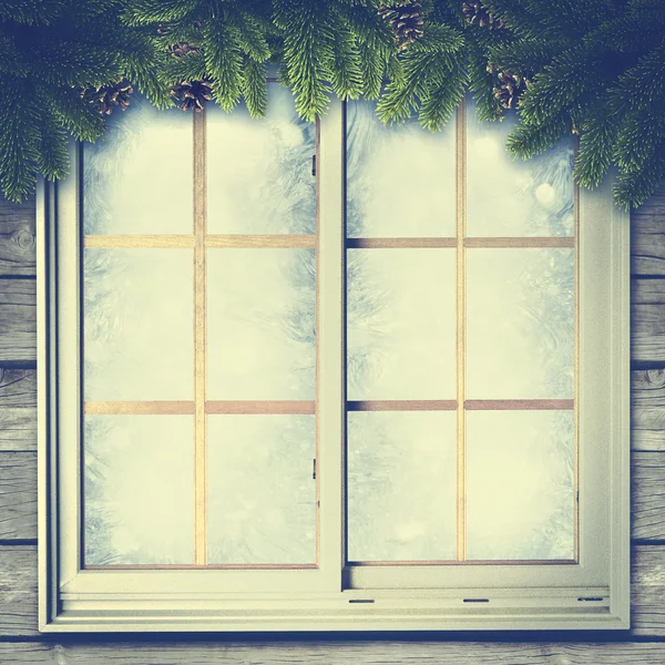 Background with window and pine tree