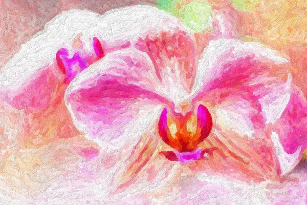 Pink orchid, fine art simulation