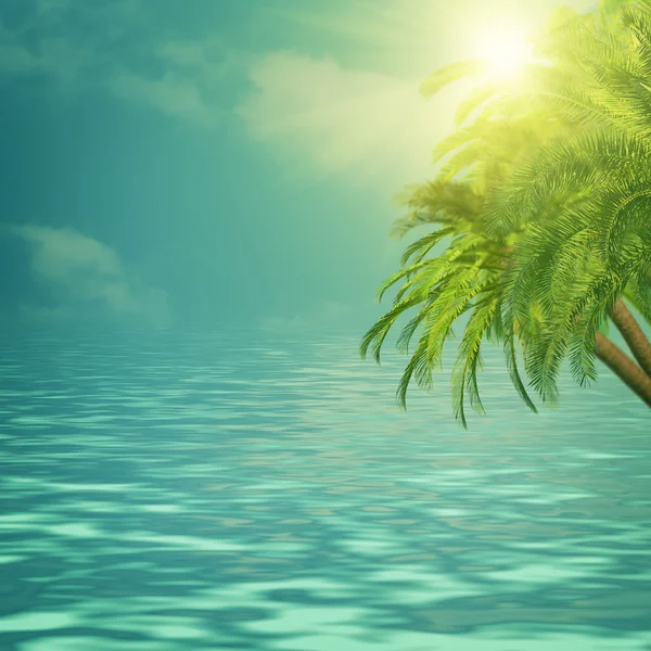 Summer background with palm tree