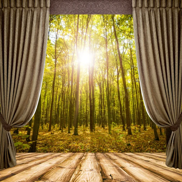 Open curtains and autumn forest