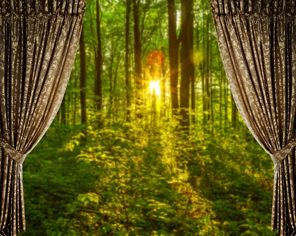 Curtains and forest autumn background