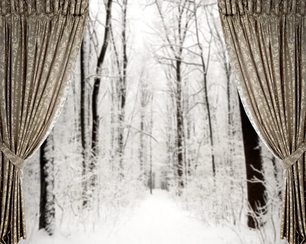 Curtains on the winter forest background -