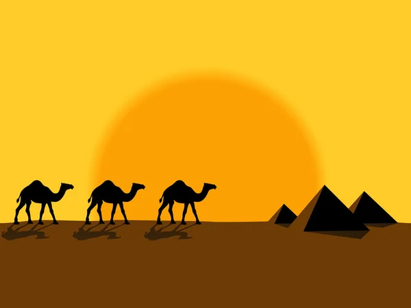 Desert evening landscape with camels