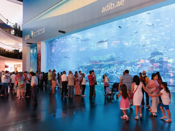 Dubai Aquarium inside Dubai Mall