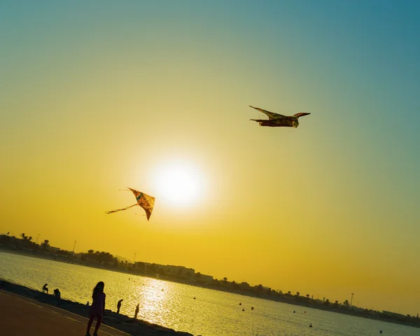 Kite at sunset