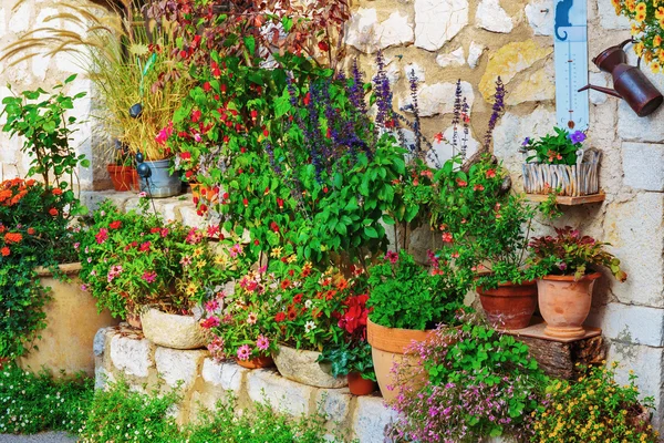 House decorated with flowers in pots