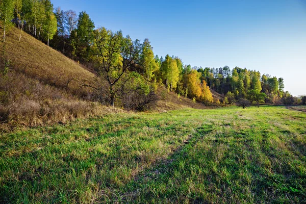 Dirt road in countryside