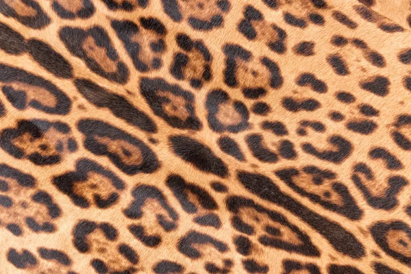 Faux leopard fur