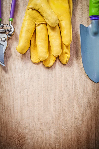 Protective gloves, hand shovel and pruner