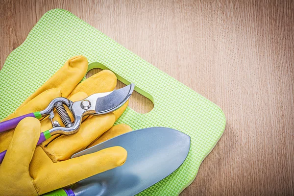 Protective gloves, hand spade and secateurs