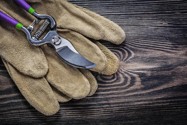 Leather protective gloves and pruning shears