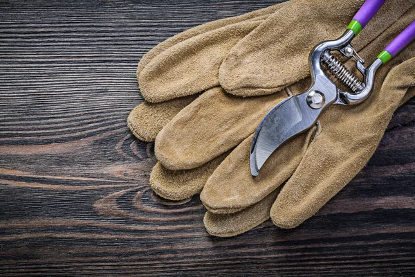 Leather safety gloves sharp secateurs on vintage wooden board ga