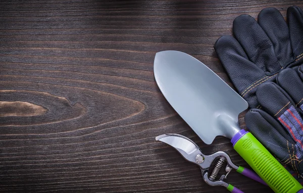 Gloves, hand spade and pruning shears