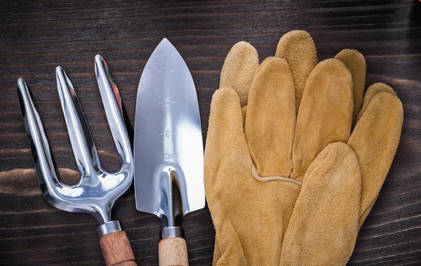 Hand spade, trowel fork and gloves