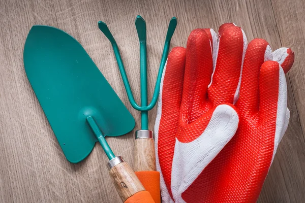 Rubber gloves, hand spade and rake