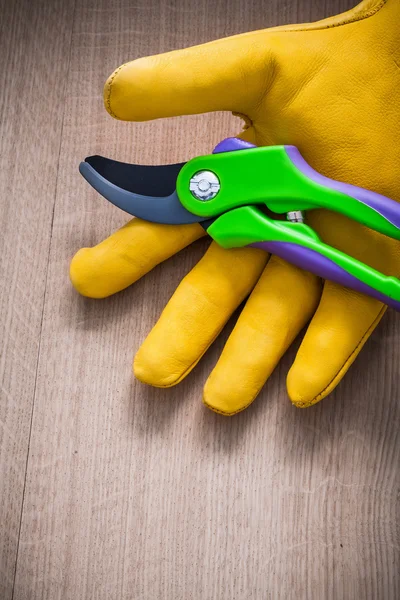 Safety glove with sharp secateurs