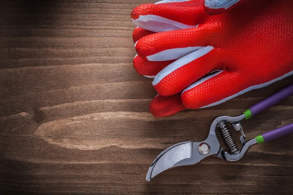 Protective gloves and sharp pruning shears