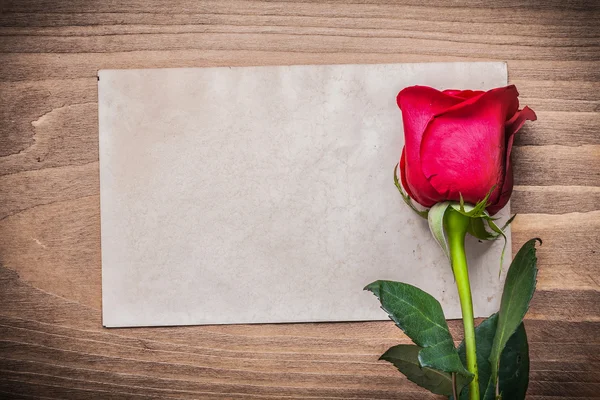Sheet of paper and red rose