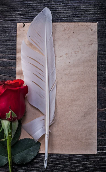 Paper, red rose and feather
