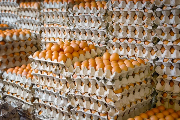 Enormous Stack of Egg Trays at an Asian Public Market