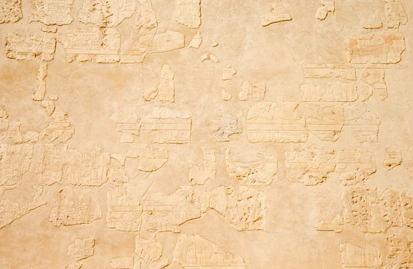 Ancient hieroglyphs on wall