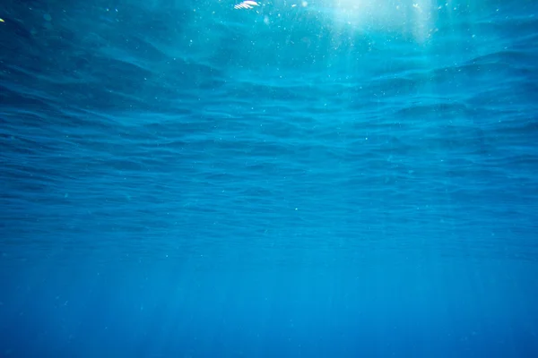 Tranquil underwater scene