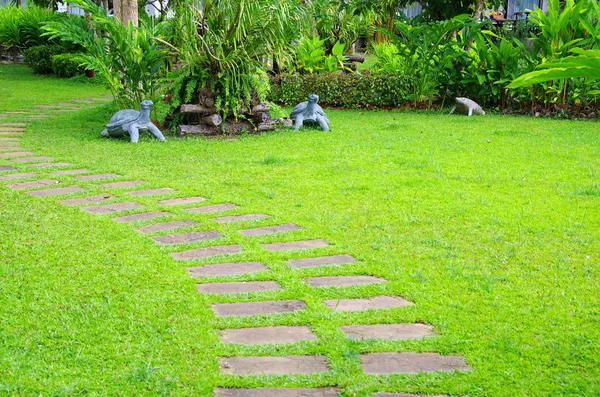 Garden  stone path
