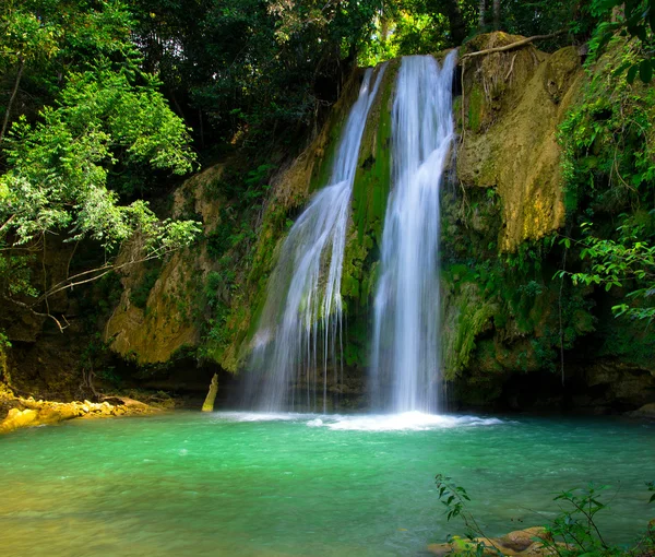 Waterfall  in  green forest