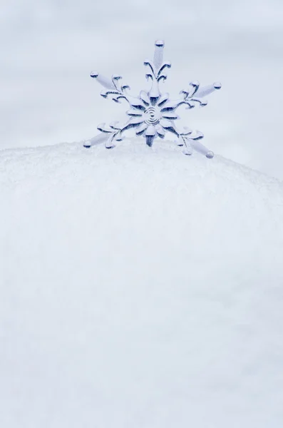 Snowflake  in  white snow