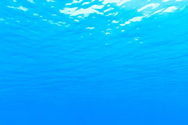 Beautiful underwater scene