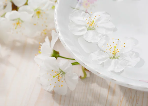 Floating flowers ( Cherry blossom) in white bowl.