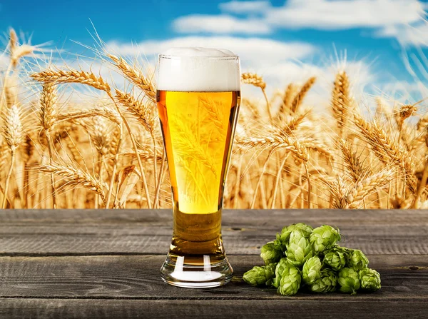 Beer glass and wheat field