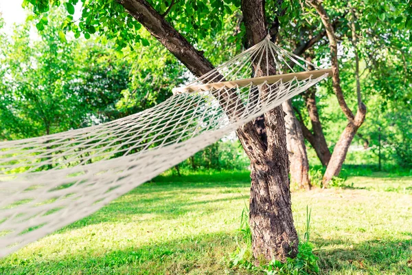 White hammock among the trees