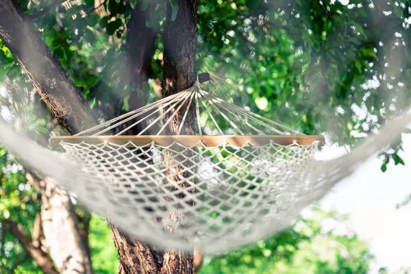 White hammock among the trees