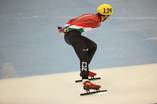 Short Track Speed Skating sportsman