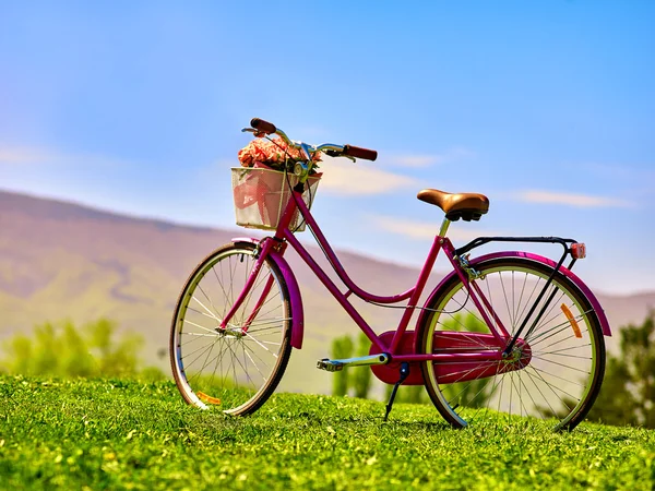 City bicycle with flower basket on green grass aganist blue sky.