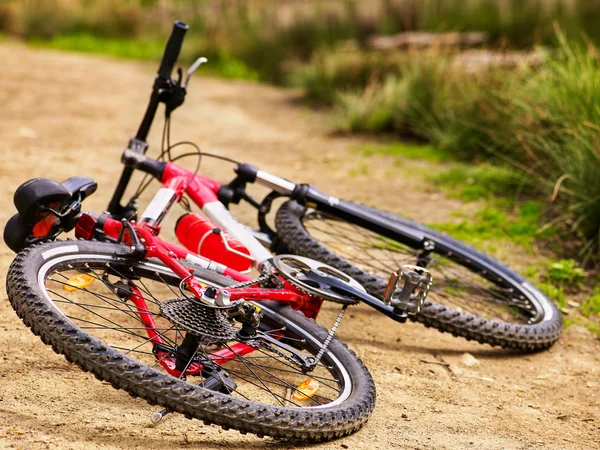 Bicycle lies on country road.