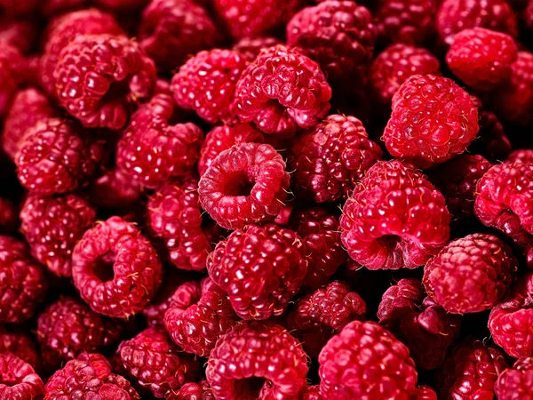 Raspberry background of berries.
