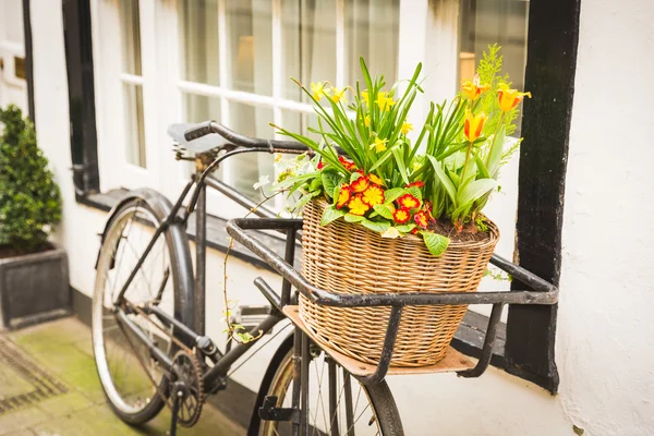 Flowers on an old bike basket next to a window