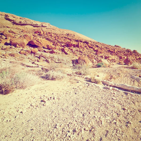 Dry Riverbed in Israel