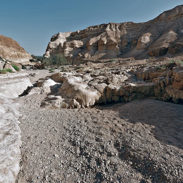 Dry Riverbed in the Judean Desert