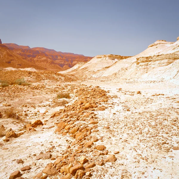 Dry Riverbed