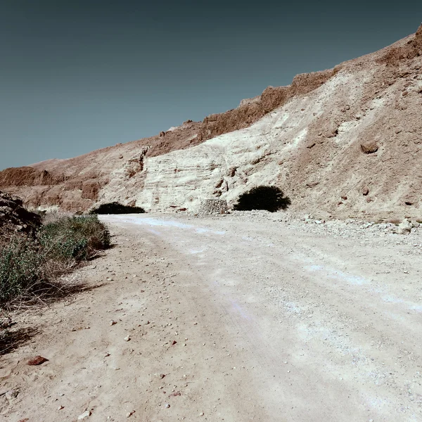 Road in Desert