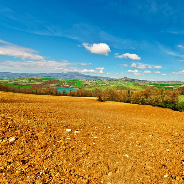 Plowed Fields in Italy