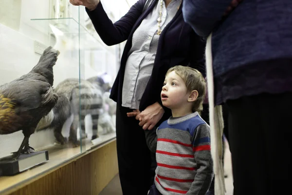 Boy in the museum