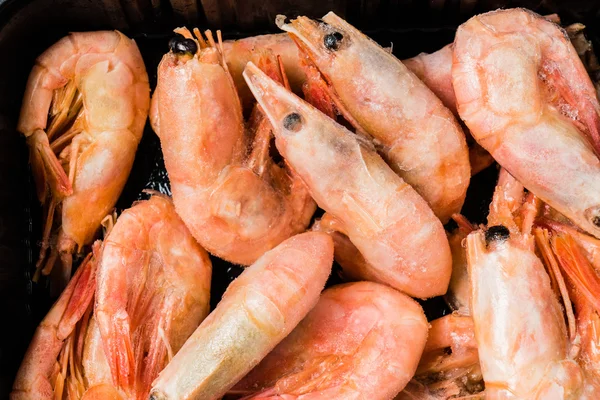 Big frozen shrimps