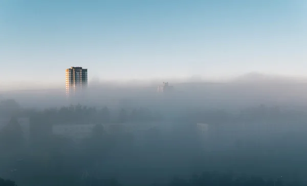 Fog on morning city street