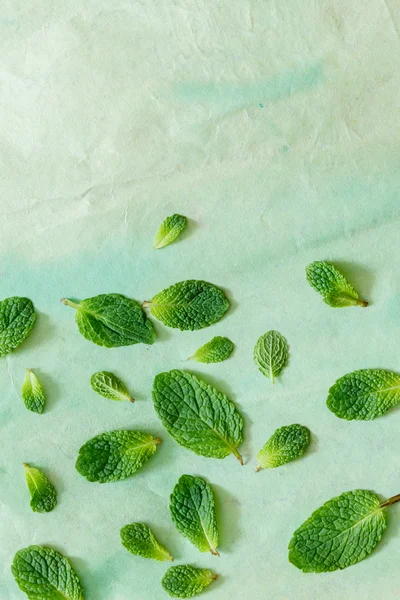 Fresh mint leaves