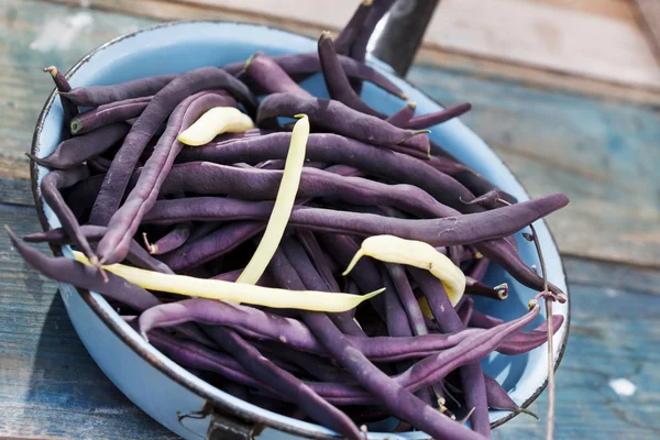 Purple string beans