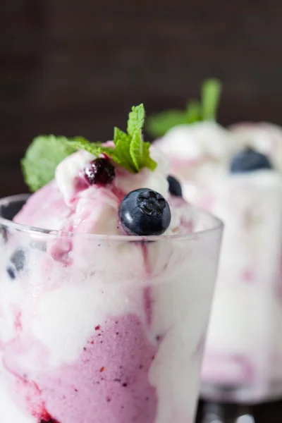 Frozen yogurt with blueberries and mint